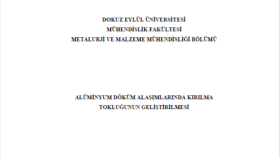 Tez Düzenleme