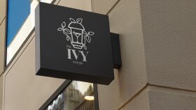 Ivy - konsept logo tasarımı
