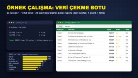Veri Çekme Botu - 1.000 Ürün → Excel Raporu