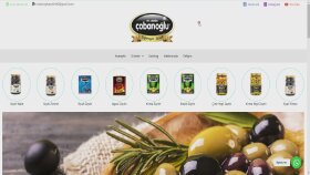 Kurumsal Web Sitesi - Tasarım; Kullanıcı İsteklerine Göre