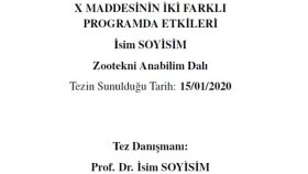 Tez Şablonu Hazırlama
