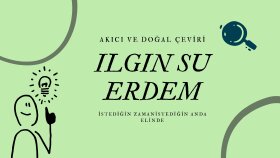 her türlü çeviriyi hallederim
