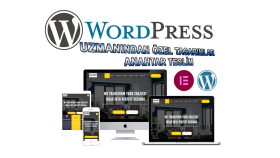 sizin için anahtar teslim Wordpress sitesi kurabilirim