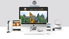 profesyonel WordPress web sitesi oluştururum