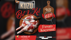 Sosyal Medya Tasarımları