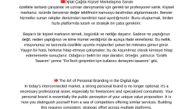 profesyonel çeviri ve kontrol yaparım