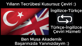 metinleri profesyonelce ve doğru bir şekilde çeviririm