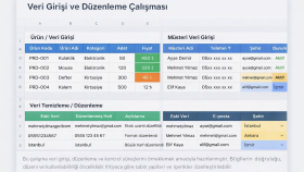 Veri Girişi ve Düzenleme Çalışması