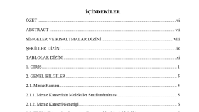 basım öncesi kitaplardaki yazım hatalarını düzenleyebilirim