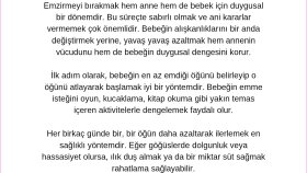Emzirme bırakma