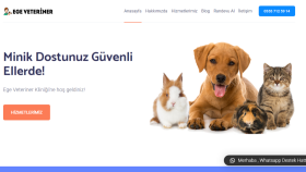 Wordpress Tasarım