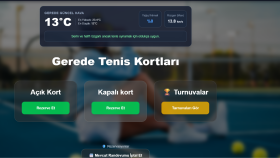 Profesyonel Web Sitesi Tasarımı