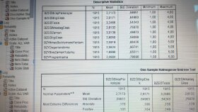 SPSS - ANALİZ, DANIŞMANLIK