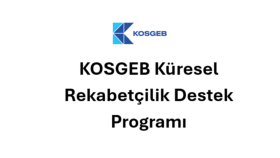 KOSGEB Küresel Rekabetçilik Destek Programı Proje yazımı