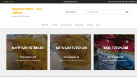 SEO uyumlu E-ticaret sitesi tasarımı 