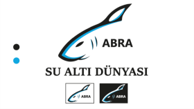 özgün ve profesyonel logo tasarımı yaparım