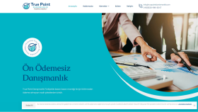 True Point Danışmanlık: Profesyonel ve Etkili Web Çözümü