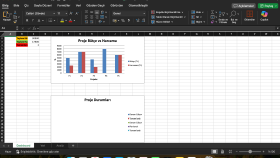Excel & Veri Analizi