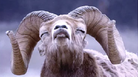 İş örneğim