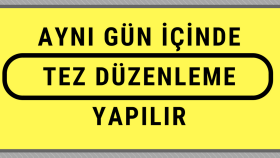 Tez Düzenleme