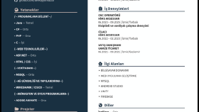 güncel cv