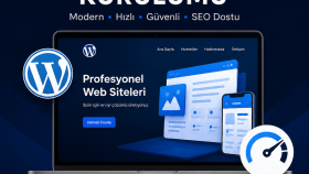 modern WordPress web sitenizi 24 saat içinde kurabilirim