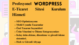 sizin için profesyonel bir e-ticaret sitesi yapabilirim