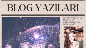 blog yazıları yazabilirim