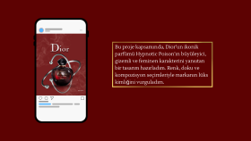 Dior Parfüm Gönderisi