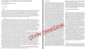 profesyonel akademik çeviri yapıyorum