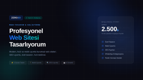 profesyonel ve mobil uyumlu web sitesi tasarlıyorum