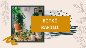 bitki bakımı- kapak görseli