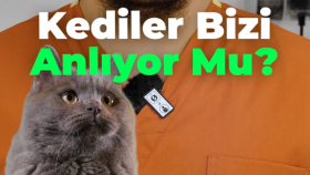 VetCOD Veteriner Kliniği Reels Videosu