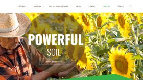 İş örneğim
