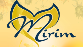 Ayçiçek Yağı Logo Tasarımı