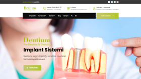 Dentium Implant Wordpress