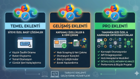 size özel tarayıcı eklentisi geliştirebilirim