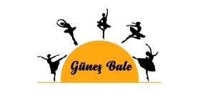 logo konusunda başarılıyım