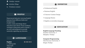 İngilizce cv örneği