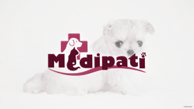 Medipati - Logo Tasarımı