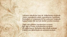 şarkı ve söz yazarlığı yapıyorum