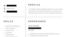 size profesyonel bir CV dökümanı hazırlayabilirim