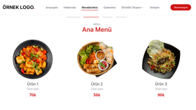 web sitenizi CMS panelini ticari sisteminizi yapabilirim
