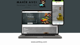 Wordpress anahtar Teslim E-Ticaret