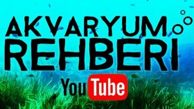 aklınızdaki logoları tasarlayabilirim