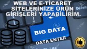 Ürün ve veri girişi benim işim