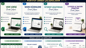Sanal Asistanlık, Veri Girişi ve Ofis Desteği
