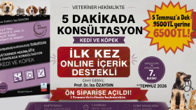 Markanızı Öne Çıkaran Profesyonel Reklam Banner Tasarımları