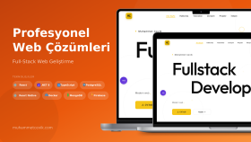profesyonel şekilde anahtar teslim web sitenizi yaparım