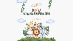 ÖZEL GÜN VE DUYURU GÖRSELLERİ